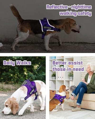 AUROTH Dog Harness and Leash Set, Soft Padded Service Dog Vest with 5.25FT Dog Leash, No Choke, Easy On Pet Vest, Adjustable Reflective No Pull Pet Vest Medium Sized Dog, Easy Walking and Training - color: Purple, size: Medium