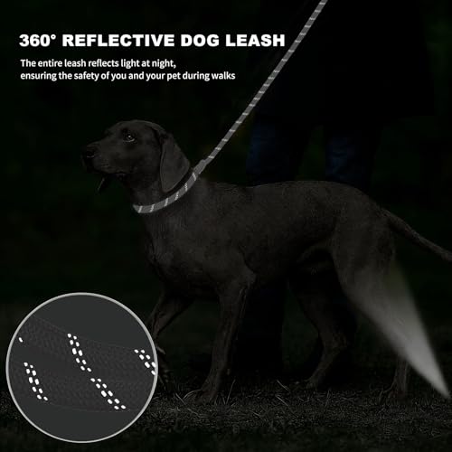 6FT Heavy Duty Dog Leash for Small Medium Large Dogs, Tangle Free Reflective Dog Training Leash with Double Handle, Seat Belt Buckle & Poop Bag Holder (Black) - color: Black, size: 6FT