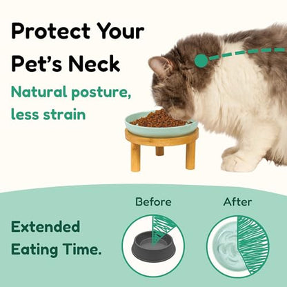 Slow Feeder Bowl, 6.3″ Elevated Cat Bowl with Stand, Melamine Wide Shallow Food Bowl, Whisker-Friendly Raised Plate, Wet Food Feeder for Slow Eating (Green) - color: Green, size: 1 Pack with Stand - 6.3''W x 1.5''H
