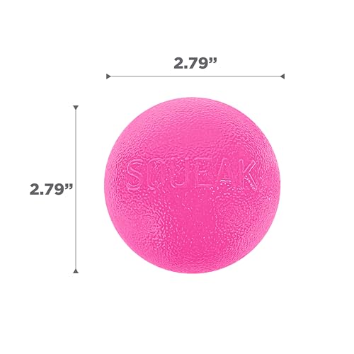 Outward Hound by Planet Dog Squeak Ball Bouncy Fetch Dog Toy, Pink - color: Pink Squeak Toy