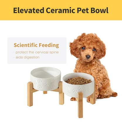 Elevated Ceramic Dog Bowl Set, 6" Dog Bowls with Dual Fixed Heights Stand, 3.5 Cup Food and Water Bowls for Small Breed Dogs, Microwave Safe (Double Bowls + Stand - White, 6 inch) - color: Double Bowls + Stand - White, size: S - 6 Inch