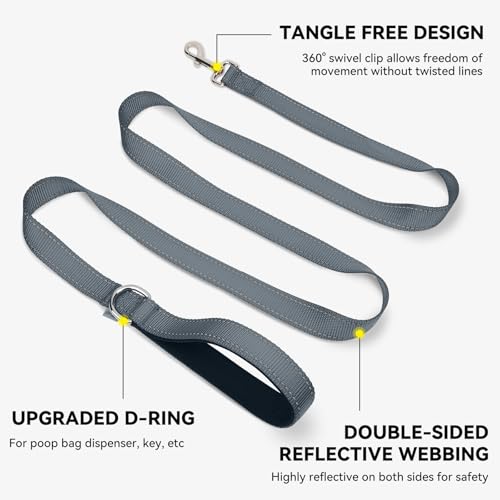 Joytale Dog Leash, 4 FT Double-Sided Reflective, Padded Handle Nylon Heavy Duty Leashes for Small Dogs Walking, Grey - color: Grey, size: 4 ft Narrow