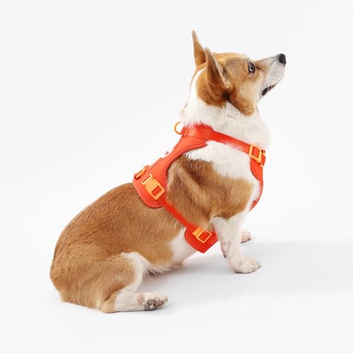 HNS1002A Arlo Medium Adjustable Soft Padded No Pull Pet Harness with 3 Buckles and 3 Leash Clips, Aperol - color: Dark Orange, size: Medium (Chest: 18 - 28")