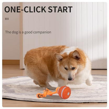 Interactive Dog Toys Dog Ball,Automatic Rolling and Bouncing Moving Dog Toy,Squeaky Rolling Balls with Flashing Light,USB Rechargeable Chew Toys for Puppy Small Dogs, Pet Ball to Keep Them Busy - color: 1 Orange