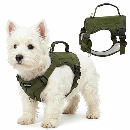 AIITLE Medium Dog Harness No Pull, Reflective Adjustable Vest with Handle, No Choke Design, Dual Metal Leash Clips for Walking Training Running Camping, Small Medium Breeds - Green L - color: Green, size: L