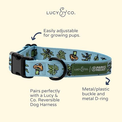 Lucy & Co. x Parks Project Feel the Earth Breath Dog Collar, Adjustable Durable Dog Collar with Cute Print, Small - color: Feel the Earth Breath, size: Small