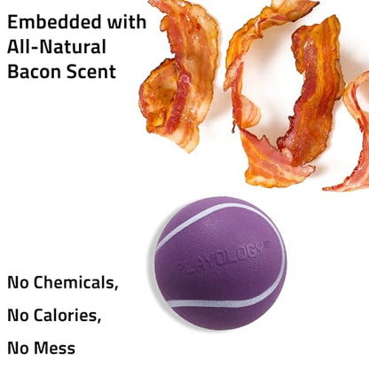 Playology Dog Toys | Squeaky Chew Ball - Bouncy Durable Floating Fetch Ball for Dogs | Jumbo Bacon Scented Toy - Easy to Clean and Made from Non Toxic Materials - size: Jumbo, style: Bacon