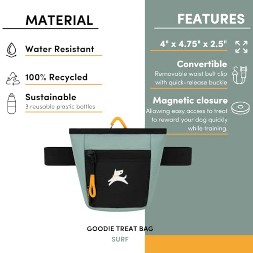 OllyDog Goodie Treat Bag, Dog Treat Pouch, Waist Belt Clip for Hands-Free Training, Magnetic Closure, Dog Training and Behavior Aids, Three Ways to Wear (Surf) - color: Surf
