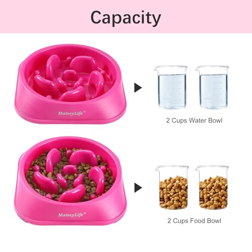 MateeyLife Slow Feeder Dog Bowls, Anti-Choking Puzzle Dog Food Bowls, Anti-Slip Interactive Feeding Slow Down Eating, Bloat Stop Maze Dishes for Medium Large Breeds Purple - color: J-Purple, size: Medium
