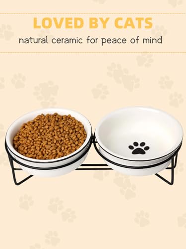GDCZ Ceramics Raised Cat Bowls with Heighten Metal Stand,15 Ounces White - color: White