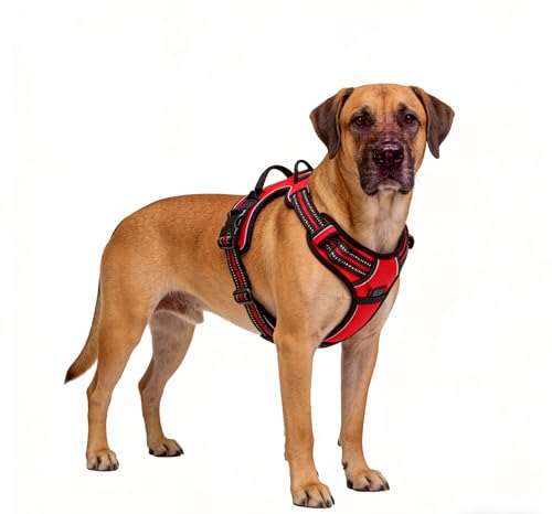 Red No-Pull Dog Harness with 2 Leash Clips，Soft Padded Vest for Large Dog, Adjustable Reflective Dog Vest Easy to Put on and Take Off, (Neck: 17"~24", Chest: 24"~32",Red L) - color: Red, size: Large