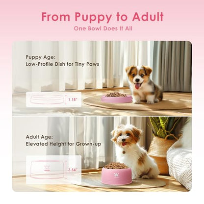 PAWGETHER® Stainless Steel Dog Bowls, Dog Food Water Bowl with Non-Slip Base Two-Piece Design Easy Clean Dishwasher Safe Pink 34oz + 12oz - color: Pink (34oz + 12oz)