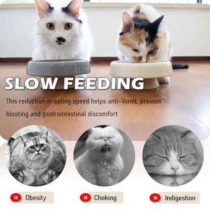 Ceramic Cat Slow Feeder, Raised Slow Feeder Cat Bowl, Anti Vomiting and Whisker Friendly Kitty Dish, Elevated Puppy Kitten Bowl for Dry and Wet Food (Gray) - color: Gray