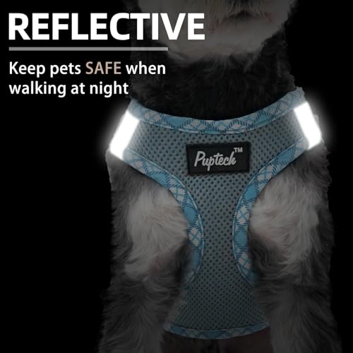 PUPTECK Dog Harness and Leash Set for Small Medium Dogs No Pull Step-in Soft Mesh Puppy Cat Vest Harnesses Reflective at Night, Sky Blue, XS - color: #1 SkyBlue(Basic Mesh), size: XS(CHEST 13"-14.5", 3-9 lbs)