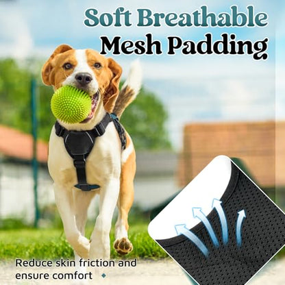 rabbitgoo Escape Proof Dog Harness Small Sized Dog, Soft Padded Full Body Pet Harness, Reflective Adjustable Vest with Lift Handle and Leash Clip for Walking Hiking Training, Dark Green, S - color: Dark Green, size: Small (Pack of 1)