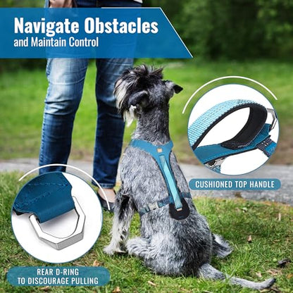 No-Pull Dog Harness with Handle - Escape Proof, Anti-Pulling, Grip Control, Multi-Angle Reflective for Safe Walks & Training, Easy On & Off, Metal Buckle–Pet Harness, Medium/Large Dogs- M- Blue - color: Blue, size: M:Neck16.9"~23.6",Chest18.9"-27.6"