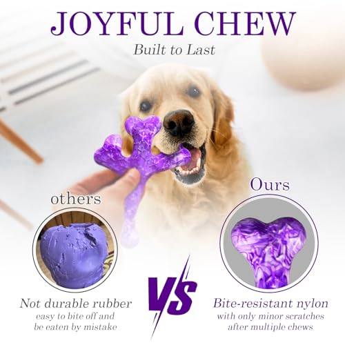 Frienhund 4 Pack (XL Cactus) Indestructible Tough Dog Toys for Aggressive Chewers: Beef Flavored Chew Bone for Large Dogs 20-90 lbs, Long Lasting & Keep Them Busy