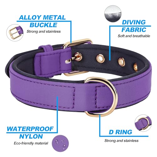 Didog Soft Padded Dog Collar for Large Dogs, Lightweight and Breathable Dog Collar with Metal Buckle, Purple, XL - color: Purple, size: XL: Fit 17-23" Neck