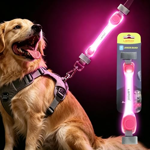 LaRoo Dog Collar Light Dog Lights for Night Walking, Universal LED Safety Lights for Leash Harness for Nighttime Running, Pet Night Outdoor Safety with Nylon Stickers (Pink) - color: Red