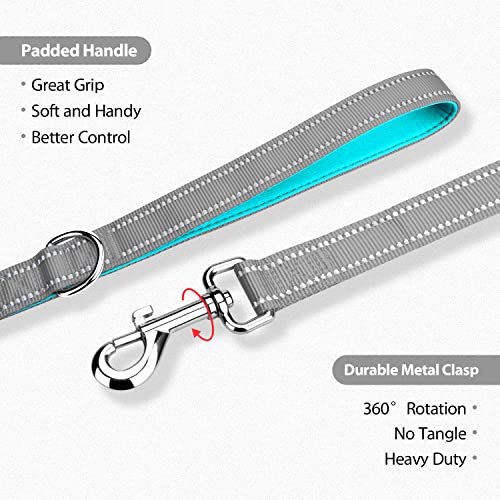 PHOEPET 5 Feet Dog Leash - Dual-Side Reflective - Soft Padded Handle - Fit for Walking, Training or Exploring Hiking, Camping (Grey + Mint Green Base) - color: Grey + Mint Green Base