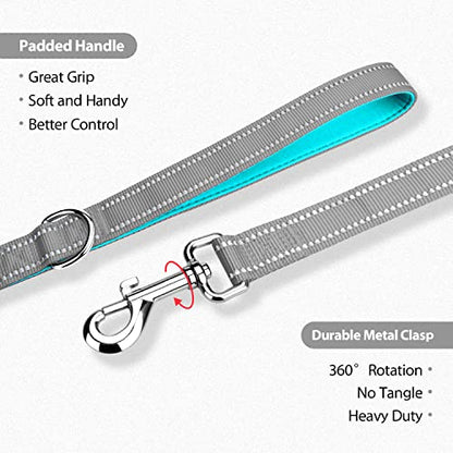 PHOEPET 5 Feet Dog Leash - Dual-Side Reflective - Soft Padded Handle - Fit for Walking, Training or Exploring Hiking, Camping (Grey + Mint Green Base) - color: Grey + Mint Green Base