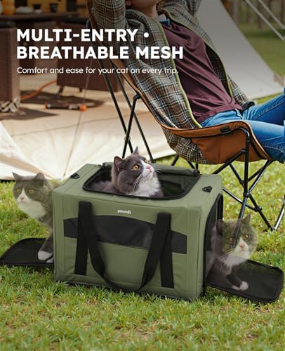 Pecute Cat Carrier Stable, Pet Carrier with Hidden Anxiety Relief Partition & Stable Steel Frame, Safe Cat Carrier for Car Travel, Soft-Sided Dog/Cat Carrier Bag for Pets Up to 11lbs, Green - color: Green Regular