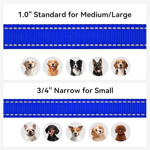 Joytale Dog Leash, 4 FT Double-Sided Reflective, Padded Handle Nylon Heavy Duty Leashes for Small Dogs Walking, Navy Blue - color: Navy Blue, size: 4 ft Narrow