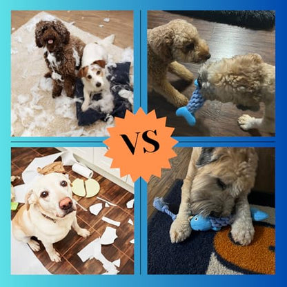 Fish Dog Toy with Rope - Fun for Some Small, Medium, and Large Breeds - Squeaky Playtime by HappyDoggys