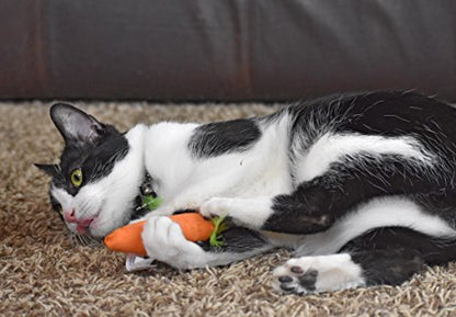 OurPet's 100-Percent North American Catnip Filled Carrot Cat Toy 24 Karat (Pack of 2) - size: 1 (Pack of 2)