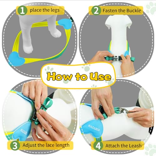 Kazazoo No Pull Small Dog Harness and Leash Set, Adjustable Puppy Soft Vest Harness with Breathable Mesh Padded, Reflective Lightweight Harness with Buckle for Extra Small Medium Dogs, Green XS - color: Green, size: XS