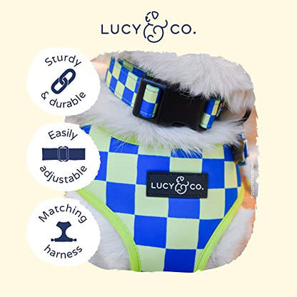 Lucy & Co. Have a Nice Day Dog Collar - Durable Lightweight Designer Collar for Pets - Adjustable Metal Safety Buckle - Lime Green Blue Checker - Small - color: Have a Nice Day Dog Collar, size: Small