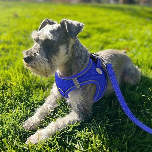 Joytale Small Dog Harness, Breathable Mesh Step-in Vest, Reflective Soft Padded Harnesses for Cats and Puppies Dogs, Navy Blue, XXXS - color: NavyBlue, size: XXXS--Chest: 10.5-12''