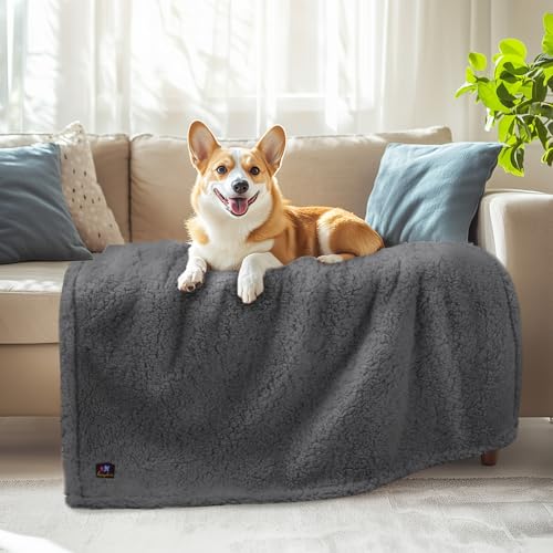 Luciphia Waterproof Pet Blanket for Medium Large Dogs Soft Cat Sherpa Calming Thick Cover Leakproof Cozy Puppy Sofa Bed Car Couch Protector(Grey,41x31 inches) - color: Grey, size: 41x31 inches