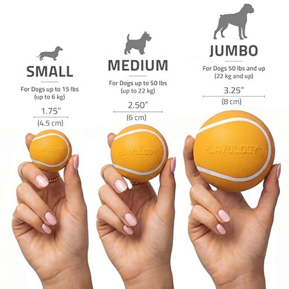 Playology Dog Toys | Squeaky Chew Ball - Bouncy Durable Floating Fetch Ball for Dogs | Medium Cheddar Cheese Scented Toy - Easy to Clean and Made from Non Toxic Materials - size: Medium, style: Cheddar Cheese