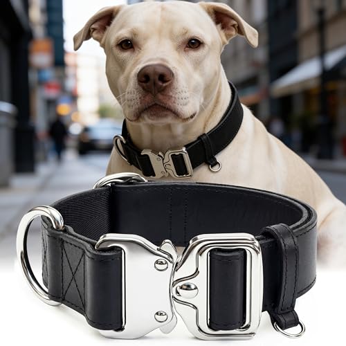AssuredLock Leather Dog Collar, 1.5” Wide, Smooth Quick-Release Buckle with Adjustable Design, Heavy-Duty Handcrafted Collars for Large Dogs, Black-M - color: Black, size: 12.5-20.5 In