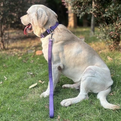 Premium Classic Nylon Adjustable Dog Collars,Soft and Smooth Regular 3/4 Inch Wide Dog Collars with Quick Release Buckle for Medium Dogs Walking,Training. (Medium, Ultra Violet) - color: Ultra Violet, size: Medium 13-17 Inches