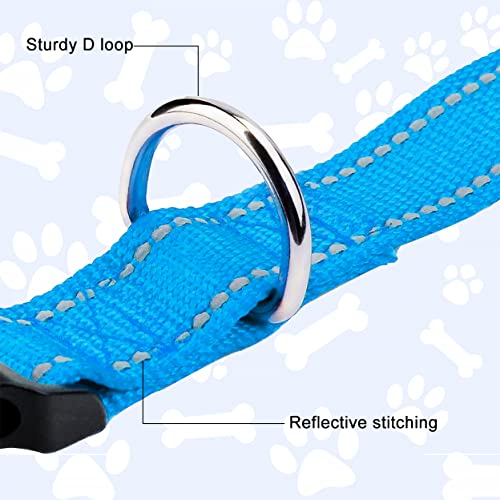 Reflective Dog Collar, Sturdy Nylon Collars for Puppy and Extra Small Girl and Boy Dogs, Adjustable Dog Collar with Quick Release Buckle,SkyBlue,5/8" Width - color: Skyblue, size: X-Small Plus (Pack of 1)