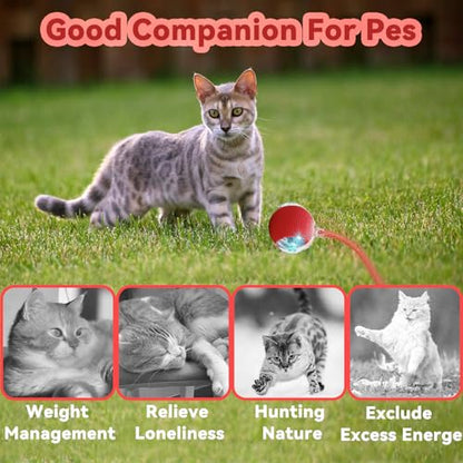Speedy 2.0 Tail Interactive Cat Toys for Indoor Cats, Automatic Cat Toy with Elastic Mesh Tail, Electric Rolling Ball on Carpet, Chirping and Motion Activate Cat - color: Blue