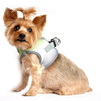 American River Dog Harness Ombre Collection - Limestone Gray XXS - color: Limestone Gray, size: XX-Small