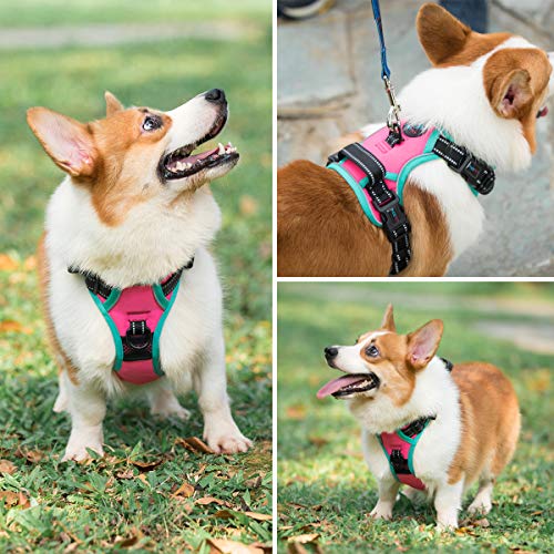 PHOEPET 2019 Upgraded No Pull Dog Harness, Reflective Adjustable Vest, with a Training Handle + 2 Metal Leash Hooks+ 3 Snap Buckles +4 Slide Buckles(XS, Pink) - color: Pink, size: Extra Small