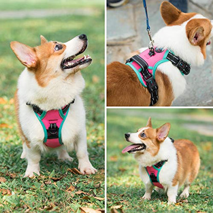 PHOEPET 2019 Upgraded No Pull Dog Harness, Reflective Adjustable Vest, with a Training Handle + 2 Metal Leash Hooks+ 3 Snap Buckles +4 Slide Buckles(XS, Pink) - color: Pink, size: Extra Small