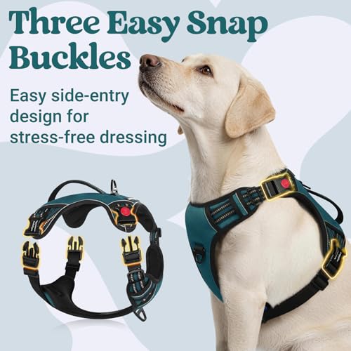 rabbitgoo Dog Harness for Large Dogs, No Pull Pet Harness with Soft Padded Handle, Adjustable Reflective Vest with 3 Buckles, Easy Walking Harness with 2 Leash Clips, Green, L - color: Green, size: Large