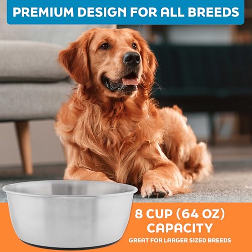 Master Pet Supply Stainless Steel Dog Bowls Set of 2 (64 Oz Each) with Non-Slip Rubber Base - Stainless Steel - Basic Dog Food Bowl Water & Food Bowls for Small Medium Large Dogs & Cats, Metal Dish - color: Stainless Steel, size: 8 Cups (64 oz) 2 Pack