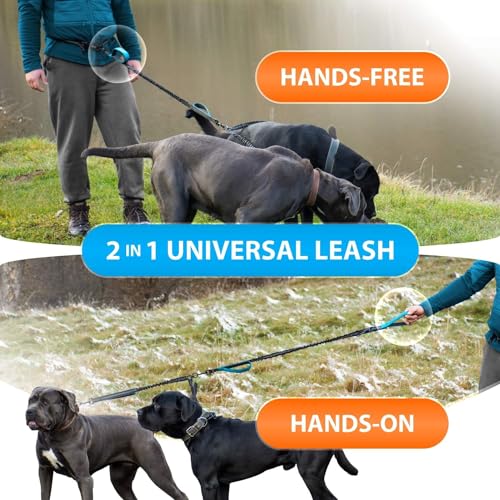 SparklyPets - Hands Free Dual Dog Leash for Medium and Large Male Dogs - Padded Handles, Reflective Stitches, No Pull, Tangle Free - Walking, Hiking, Jogging, Canicross Waist Leash - Gradient Blue - color: Gradient Blue, size: 2 dogs M/L
