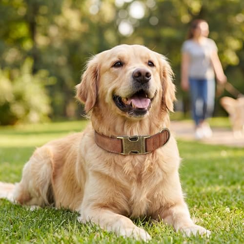 TDTOK Soft PU Leather Dog Collar, Classic Leather Collar for Small Medium Large Dogs with Quick Release Metal Buckle, Durable & Adjustable Fit 10-23" Neck - color: Brown, size: L