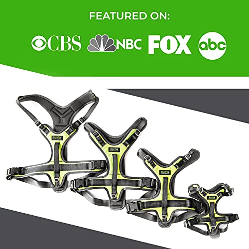 Mighty Paw Sport Harness 2.0 - Padded Canine Accessory - Adjustable Neck and Chest Straps - Enhanced Visibility with Reflective Stitching - Dog Padded Harness with Handle - Large - Green - color: Green