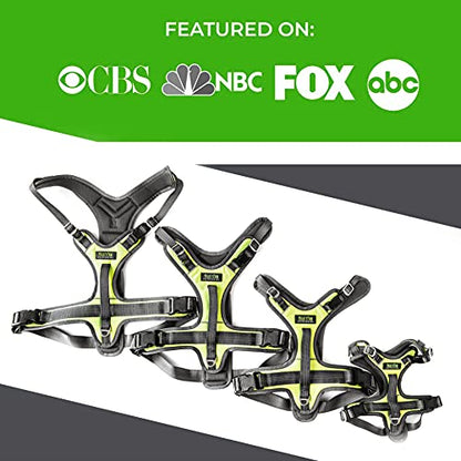Mighty Paw Sport Harness 2.0 - Padded Canine Accessory - Adjustable Neck and Chest Straps - Enhanced Visibility with Reflective Stitching - Dog Padded Harness with Handle - Large - Green - color: Green