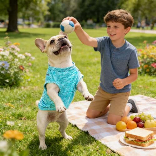 PETCARE Sun Protection Dog Shirts for Small Dogs Quick Dry Soft Stretchy Dog T-Shirts with Reflective Label Tank Top Sleeveless Vest Pet Clothes, Athletic Fabric, Blue, M (Chest 17" Length 13.8") - color: Blue, size: M ( Suggest 8-13 lbs)