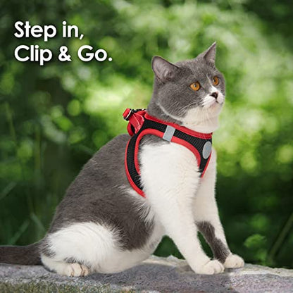 PHOEPET Step-in Dog Harness,Reflective Adjustable Dog Vest Harness, Soft Pet Walking Jacket with 2 Metal Leash Hooks for Dog and Cat(Black Base & Red Straps,XS) - color: Black Base & Red Straps, size: XS (Neck: 9-10”,Chest: 11.5-13”)