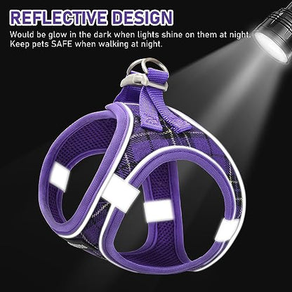 Small Dog Harness Collar and Leash Set, Step in No Chock No Pull Soft Mesh Adjustable Dog Vest Harnesses Plaid Reflective for Dogs Puppy Cats Kitten Rabbit (Purple, XXS) - color: Purple, size: XXS